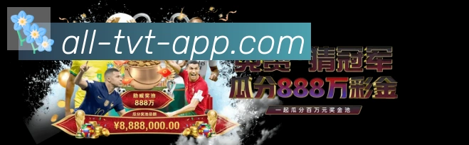 未来规划
